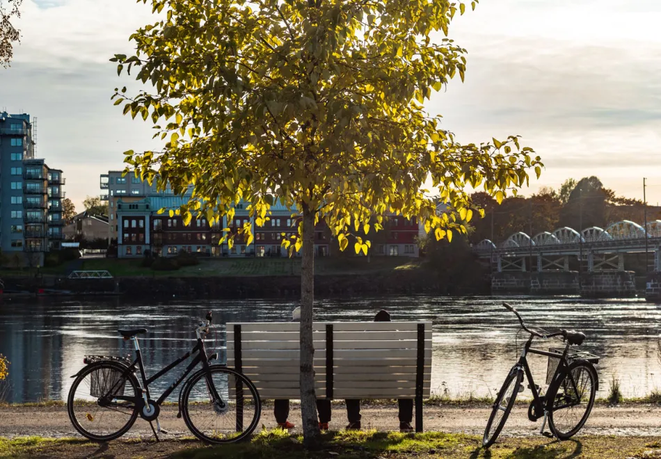 Umeå. Höst. Cykel. Foto Philip Avesand