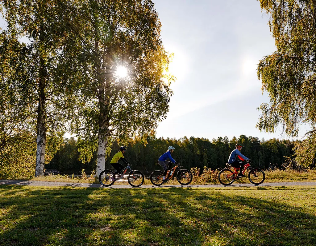 Cykling Umeå